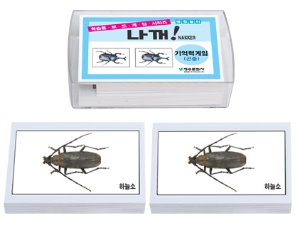 학습보드게임-기억력게임(곤충)
